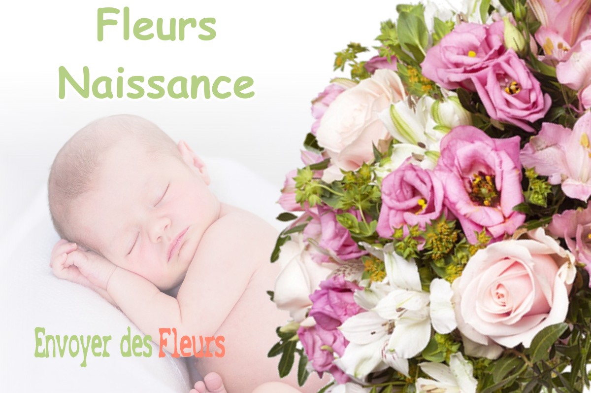 lIVRAISON FLEURS NAISSANCE à BOSTENS